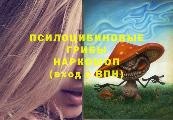 винт Новозыбков