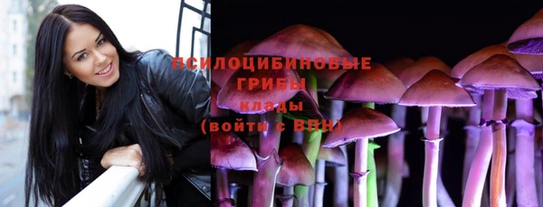 твердый Новокубанск