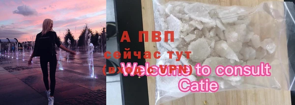 винт Новозыбков