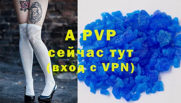 винт Новозыбков