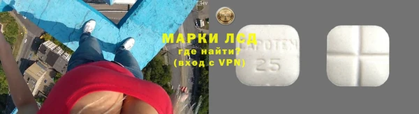 винт Новозыбков