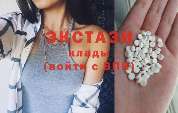 твердый Новодвинск