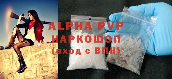 твердый Новодвинск
