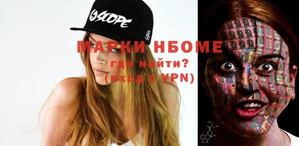 твердый Новодвинск