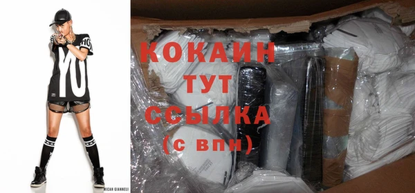 твердый Новодвинск